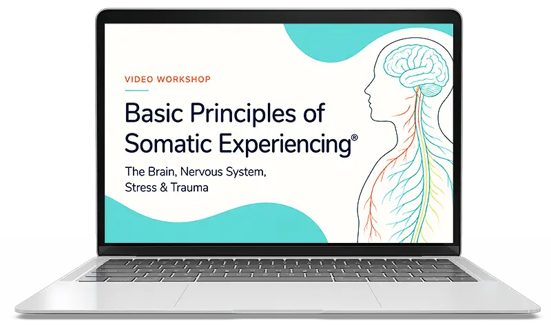 TraumaSolutions A laptop displays a paused educational video titled "Basic Principles of Somatic Experiencing," with brain and nervous system illustrations on the screen, exploring somatic healing and approaches to restoring resilience after complex trauma.